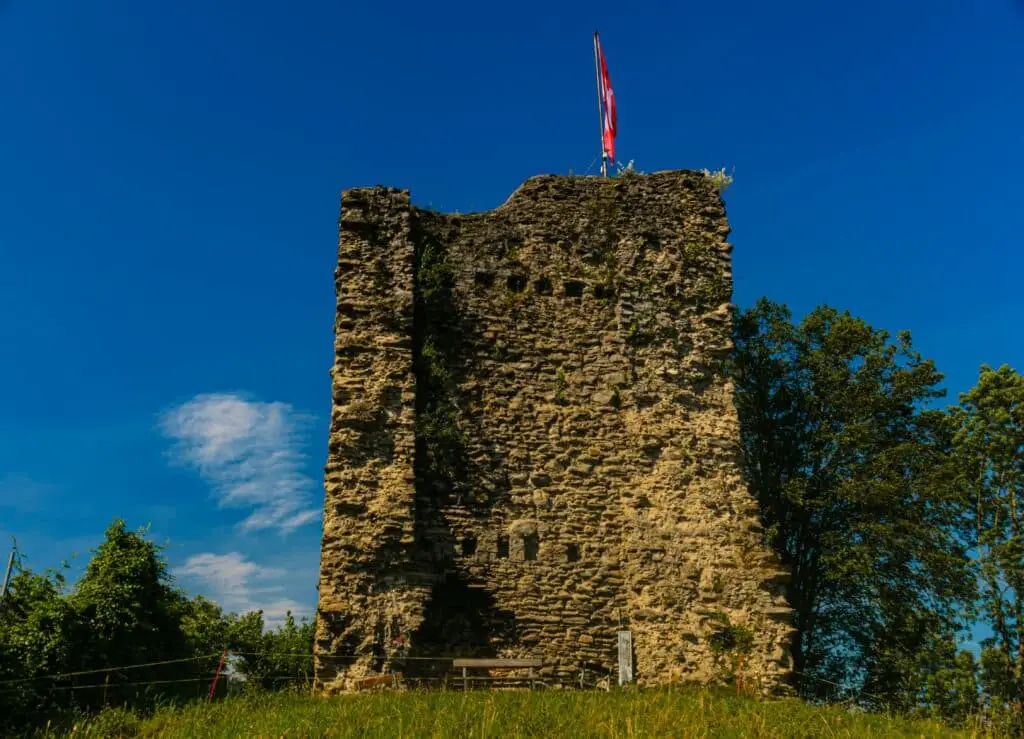 Burgruine Rheineck