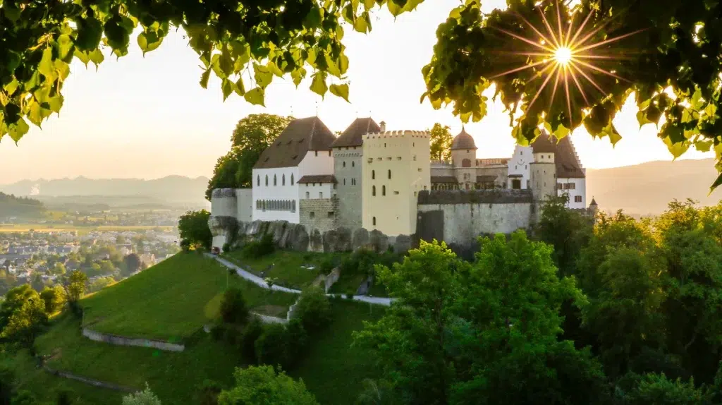 Zunfthaus zum Wilden Mann